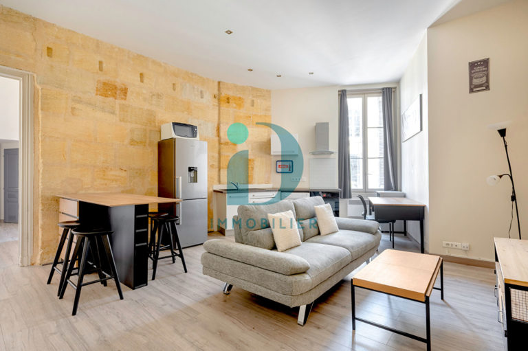 BORDEAUX CHARTRONS Lumineux et Adorable appartement 2 pièces (46 m2 environ)